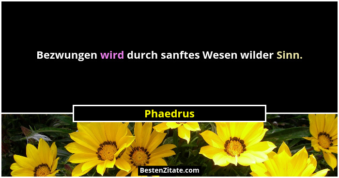 Bezwungen wird durch sanftes Wesen wilder Sinn.... - Phaedrus