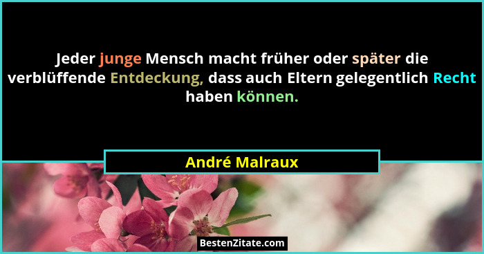 Jeder junge Mensch macht früher oder später die verblüffende Entdeckung, dass auch Eltern gelegentlich Recht haben können.... - André Malraux