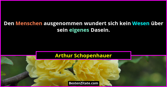 Den Menschen ausgenommen wundert sich kein Wesen über sein eigenes Dasein.... - Arthur Schopenhauer