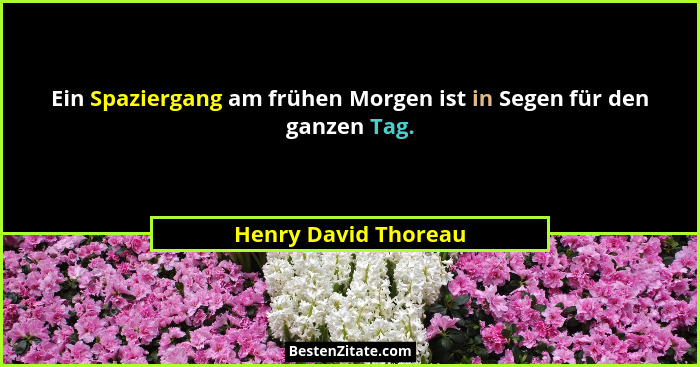Ein Spaziergang am frühen Morgen ist in Segen für den ganzen Tag.... - Henry David Thoreau