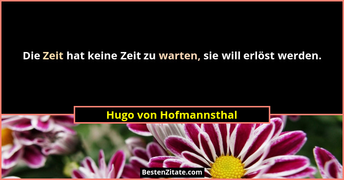 Die Zeit hat keine Zeit zu warten, sie will erlöst werden.... - Hugo von Hofmannsthal
