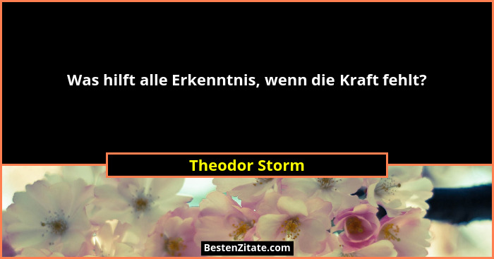 Was hilft alle Erkenntnis, wenn die Kraft fehlt?... - Theodor Storm
