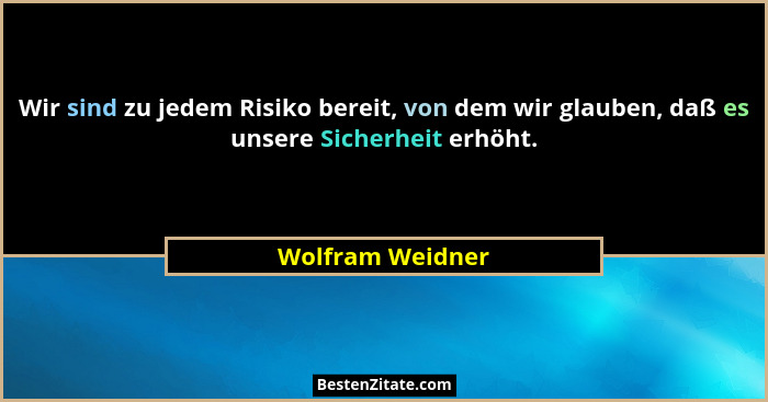 Wir sind zu jedem Risiko bereit, von dem wir glauben, daß es unsere Sicherheit erhöht.... - Wolfram Weidner