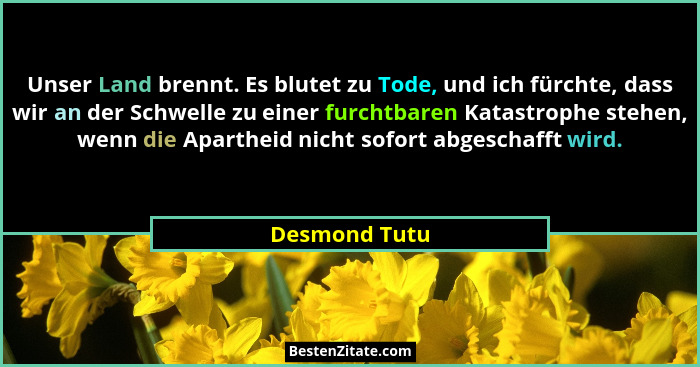 Unser Land brennt. Es blutet zu Tode, und ich fürchte, dass wir an der Schwelle zu einer furchtbaren Katastrophe stehen, wenn die Apart... - Desmond Tutu