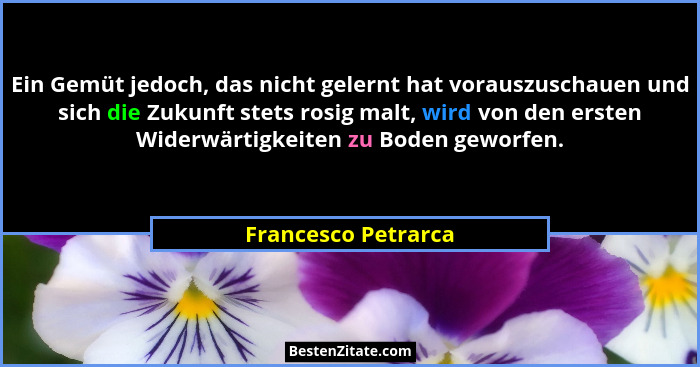 Ein Gemüt jedoch, das nicht gelernt hat vorauszuschauen und sich die Zukunft stets rosig malt, wird von den ersten Widerwärtigkei... - Francesco Petrarca