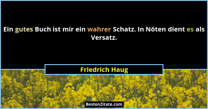 Ein gutes Buch ist mir ein wahrer Schatz. In Nöten dient es als Versatz.... - Friedrich Haug