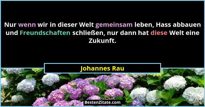 Nur wenn wir in dieser Welt gemeinsam leben, Hass abbauen und Freundschaften schließen, nur dann hat diese Welt eine Zukunft.... - Johannes Rau