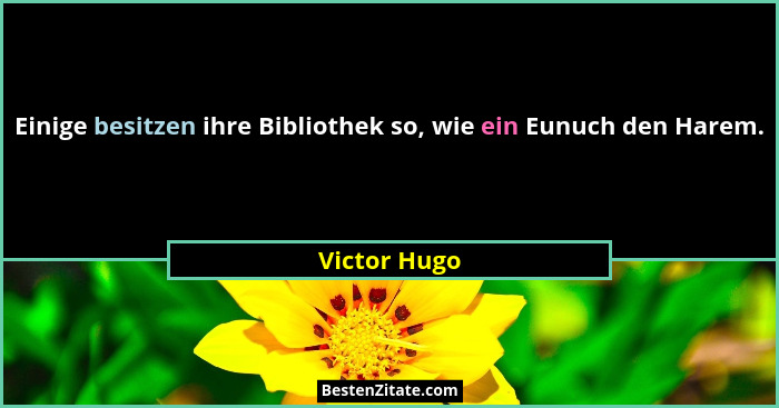 Einige besitzen ihre Bibliothek so, wie ein Eunuch den Harem.... - Victor Hugo