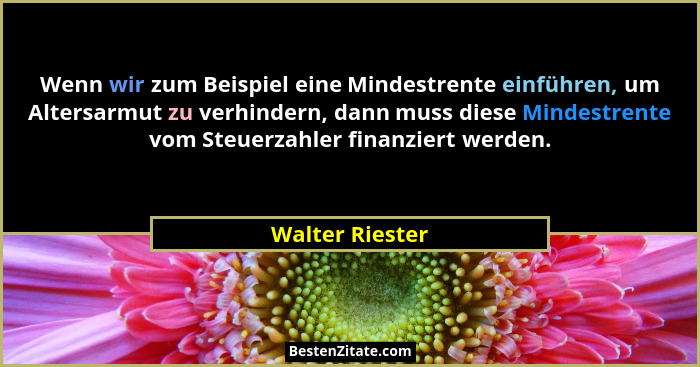 Wenn wir zum Beispiel eine Mindestrente einführen, um Altersarmut zu verhindern, dann muss diese Mindestrente vom Steuerzahler finanz... - Walter Riester