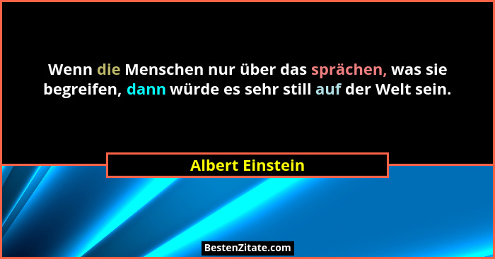 Wenn die Menschen nur über das sprächen, was sie begreifen, dann würde es sehr still auf der Welt sein.... - Albert Einstein