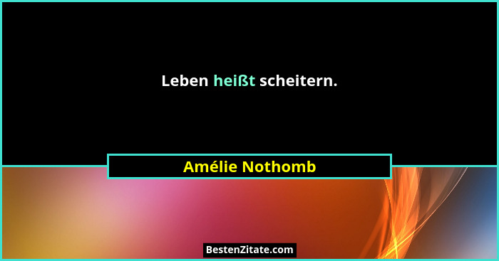 Leben heißt scheitern.... - Amélie Nothomb