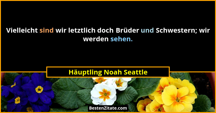 Vielleicht sind wir letztlich doch Brüder und Schwestern; wir werden sehen.... - Häuptling Noah Seattle