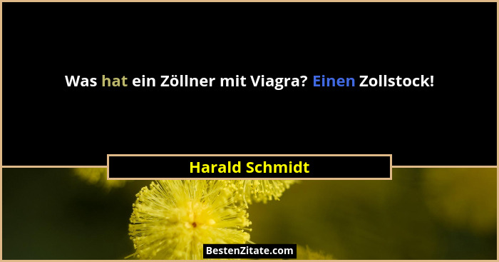 Was hat ein Zöllner mit Viagra? Einen Zollstock!... - Harald Schmidt
