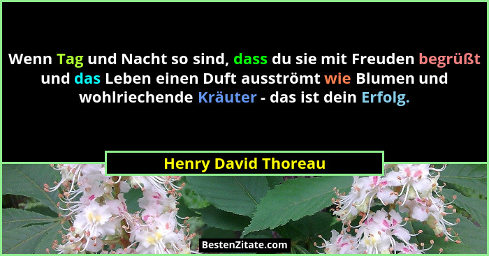 Wenn Tag und Nacht so sind, dass du sie mit Freuden begrüßt und das Leben einen Duft ausströmt wie Blumen und wohlriechende Kräu... - Henry David Thoreau