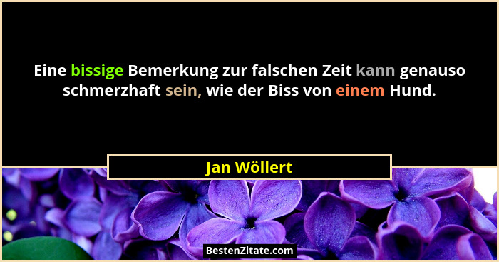 Eine bissige Bemerkung zur falschen Zeit kann genauso schmerzhaft sein, wie der Biss von einem Hund.... - Jan Wöllert