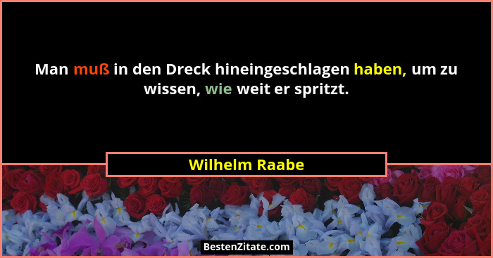 Man muß in den Dreck hineingeschlagen haben, um zu wissen, wie weit er spritzt.... - Wilhelm Raabe