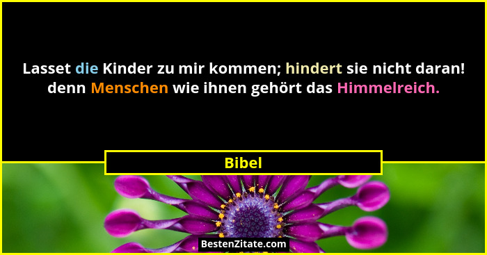 Lasset die Kinder zu mir kommen; hindert sie nicht daran! denn Menschen wie ihnen gehört das Himmelreich.... - Bibel