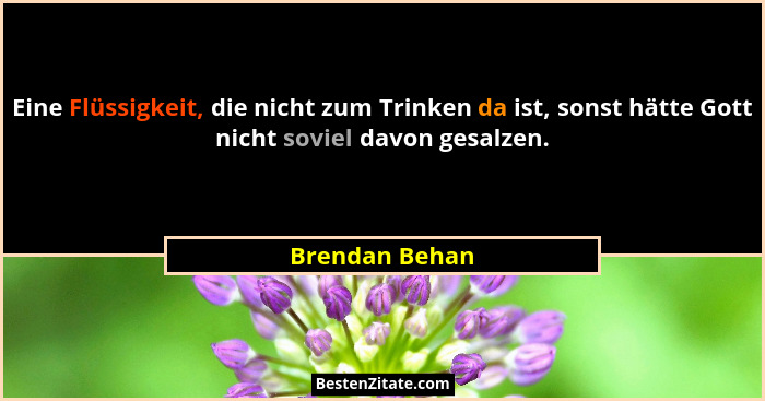Eine Flüssigkeit, die nicht zum Trinken da ist, sonst hätte Gott nicht soviel davon gesalzen.... - Brendan Behan