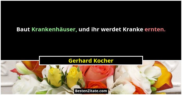 Baut Krankenhäuser, und ihr werdet Kranke ernten.... - Gerhard Kocher