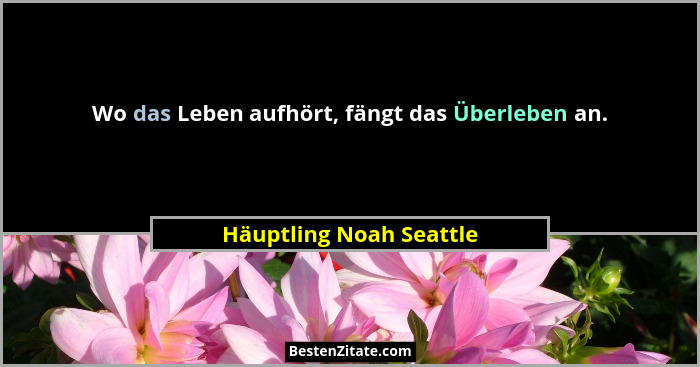 Wo das Leben aufhört, fängt das Überleben an.... - Häuptling Noah Seattle