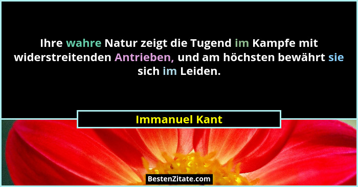 Ihre wahre Natur zeigt die Tugend im Kampfe mit widerstreitenden Antrieben, und am höchsten bewährt sie sich im Leiden.... - Immanuel Kant