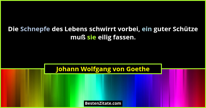 Die Schnepfe des Lebens schwirrt vorbei, ein guter Schütze muß sie eilig fassen.... - Johann Wolfgang von Goethe