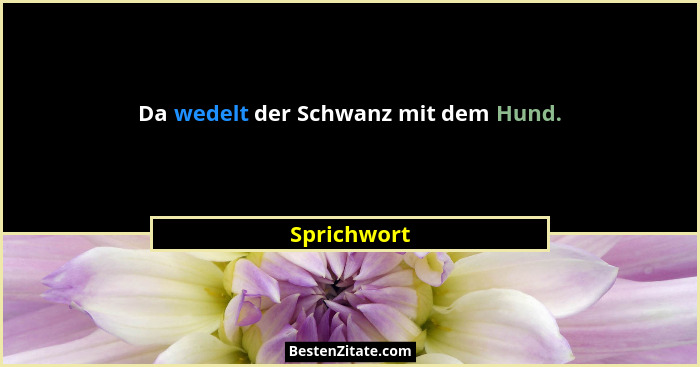 Da wedelt der Schwanz mit dem Hund.... - Sprichwort