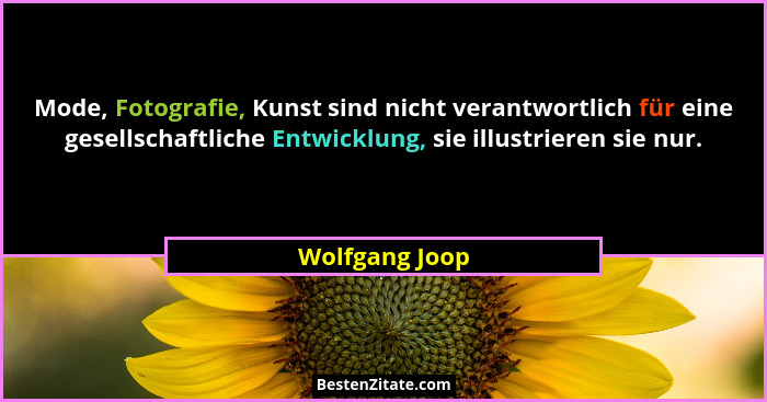 Mode, Fotografie, Kunst sind nicht verantwortlich für eine gesellschaftliche Entwicklung, sie illustrieren sie nur.... - Wolfgang Joop