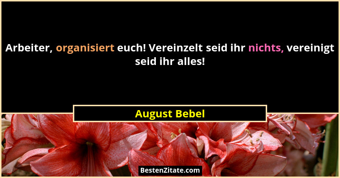 Arbeiter, organisiert euch! Vereinzelt seid ihr nichts, vereinigt seid ihr alles!... - August Bebel
