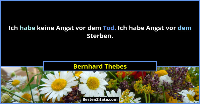 Ich habe keine Angst vor dem Tod. Ich habe Angst vor dem Sterben.... - Bernhard Thebes