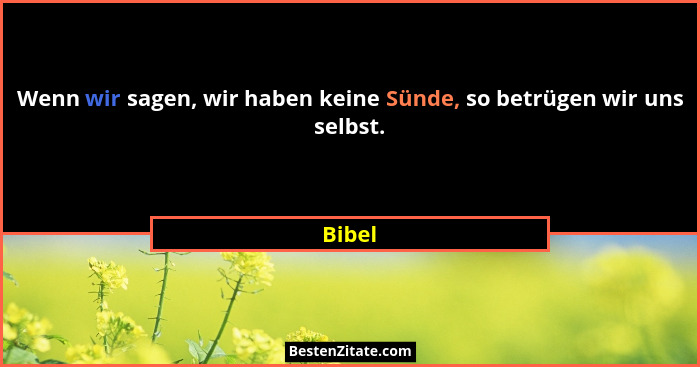 Wenn wir sagen, wir haben keine Sünde, so betrügen wir uns selbst.... - Bibel
