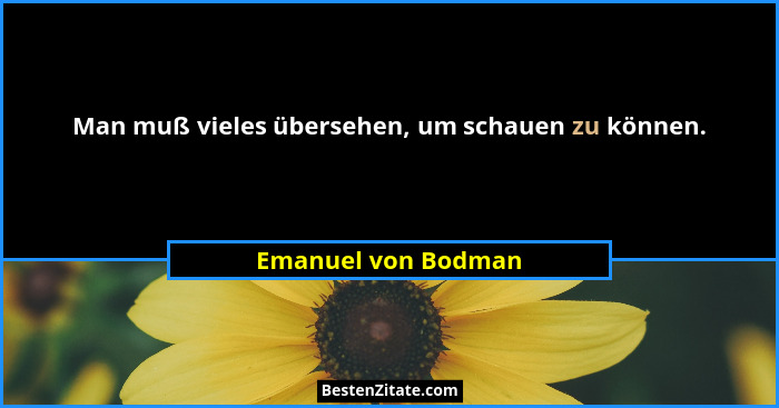 Man muß vieles übersehen, um schauen zu können.... - Emanuel von Bodman