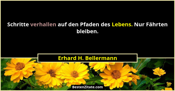Schritte verhallen auf den Pfaden des Lebens. Nur Fährten bleiben.... - Erhard H. Bellermann