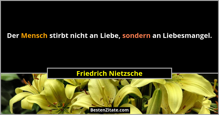 Der Mensch stirbt nicht an Liebe, sondern an Liebesmangel.... - Friedrich Nietzsche