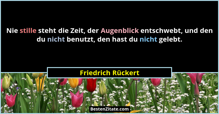 Nie stille steht die Zeit, der Augenblick entschwebt, und den du nicht benutzt, den hast du nicht gelebt.... - Friedrich Rückert