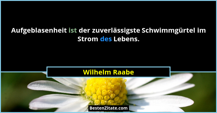 Aufgeblasenheit ist der zuverlässigste Schwimmgürtel im Strom des Lebens.... - Wilhelm Raabe