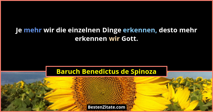 Je mehr wir die einzelnen Dinge erkennen, desto mehr erkennen wir Gott.... - Baruch Benedictus de Spinoza