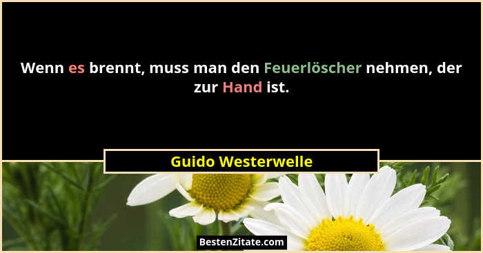 Wenn es brennt, muss man den Feuerlöscher nehmen, der zur Hand ist.... - Guido Westerwelle