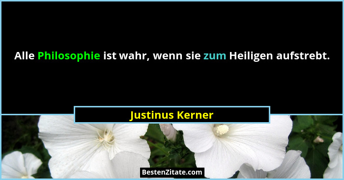 Alle Philosophie ist wahr, wenn sie zum Heiligen aufstrebt.... - Justinus Kerner