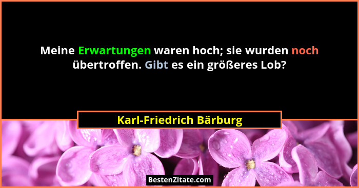 Meine Erwartungen waren hoch; sie wurden noch übertroffen. Gibt es ein größeres Lob?... - Karl-Friedrich Bärburg
