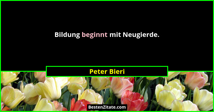 Bildung beginnt mit Neugierde.... - Peter Bieri