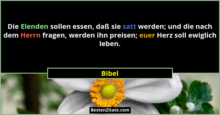 Die Elenden sollen essen, daß sie satt werden; und die nach dem Herrn fragen, werden ihn preisen; euer Herz soll ewiglich leben.... - Bibel