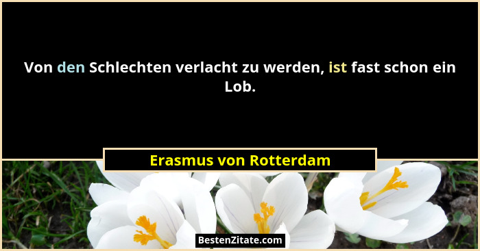 Von den Schlechten verlacht zu werden, ist fast schon ein Lob.... - Erasmus von Rotterdam