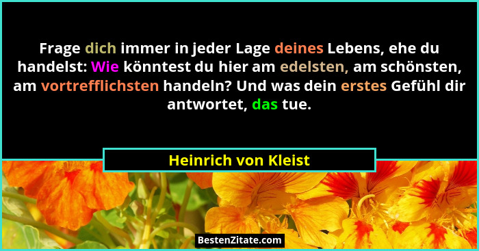 Frage dich immer in jeder Lage deines Lebens, ehe du handelst: Wie könntest du hier am edelsten, am schönsten, am vortrefflichst... - Heinrich von Kleist