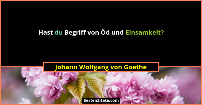 Hast du Begriff von Öd und Einsamkeit?... - Johann Wolfgang von Goethe