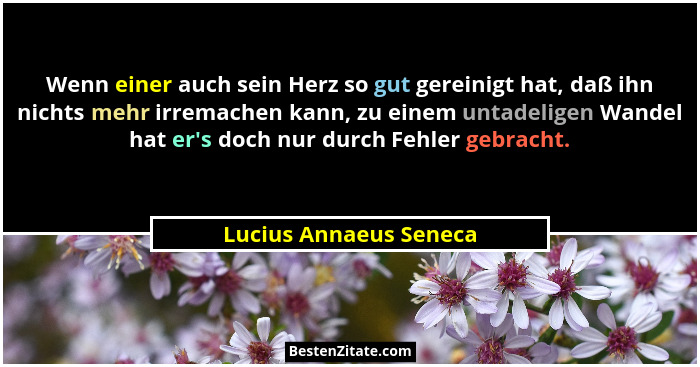 Wenn einer auch sein Herz so gut gereinigt hat, daß ihn nichts mehr irremachen kann, zu einem untadeligen Wandel hat er's... - Lucius Annaeus Seneca
