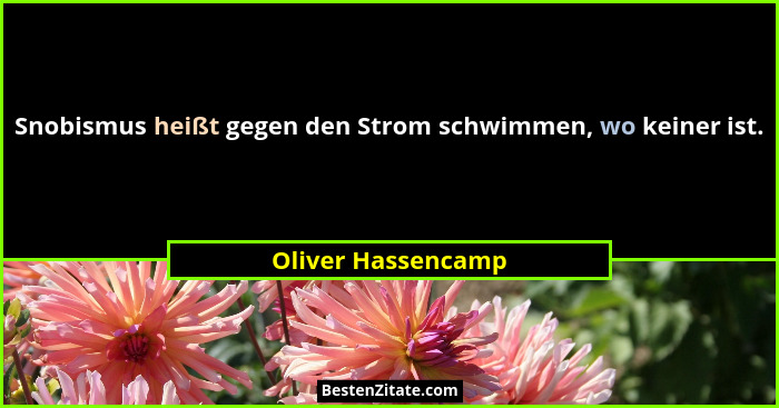 Snobismus heißt gegen den Strom schwimmen, wo keiner ist.... - Oliver Hassencamp