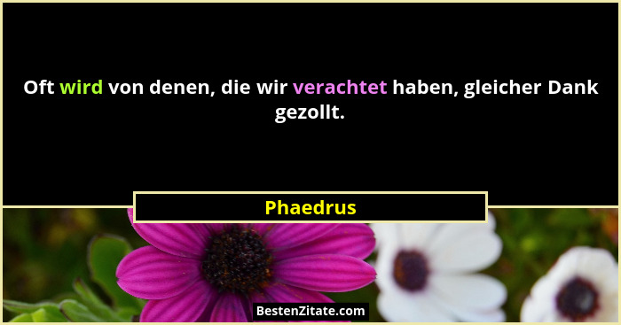 Oft wird von denen, die wir verachtet haben, gleicher Dank gezollt.... - Phaedrus