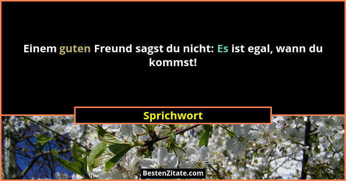Einem guten Freund sagst du nicht: Es ist egal, wann du kommst!... - Sprichwort