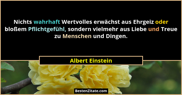 Nichts wahrhaft Wertvolles erwächst aus Ehrgeiz oder bloßem Pflichtgefühl, sondern vielmehr aus Liebe und Treue zu Menschen und Ding... - Albert Einstein